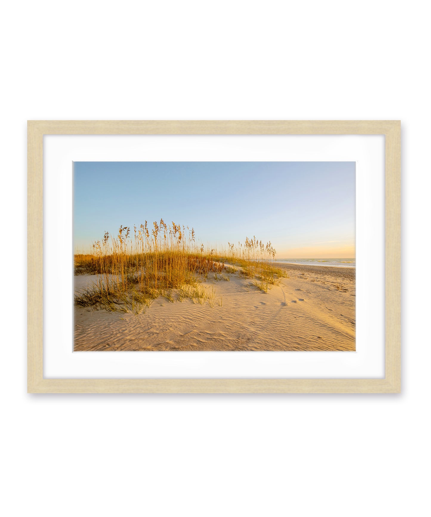 North End Wrightsville Beach Sand Dunes Photograph