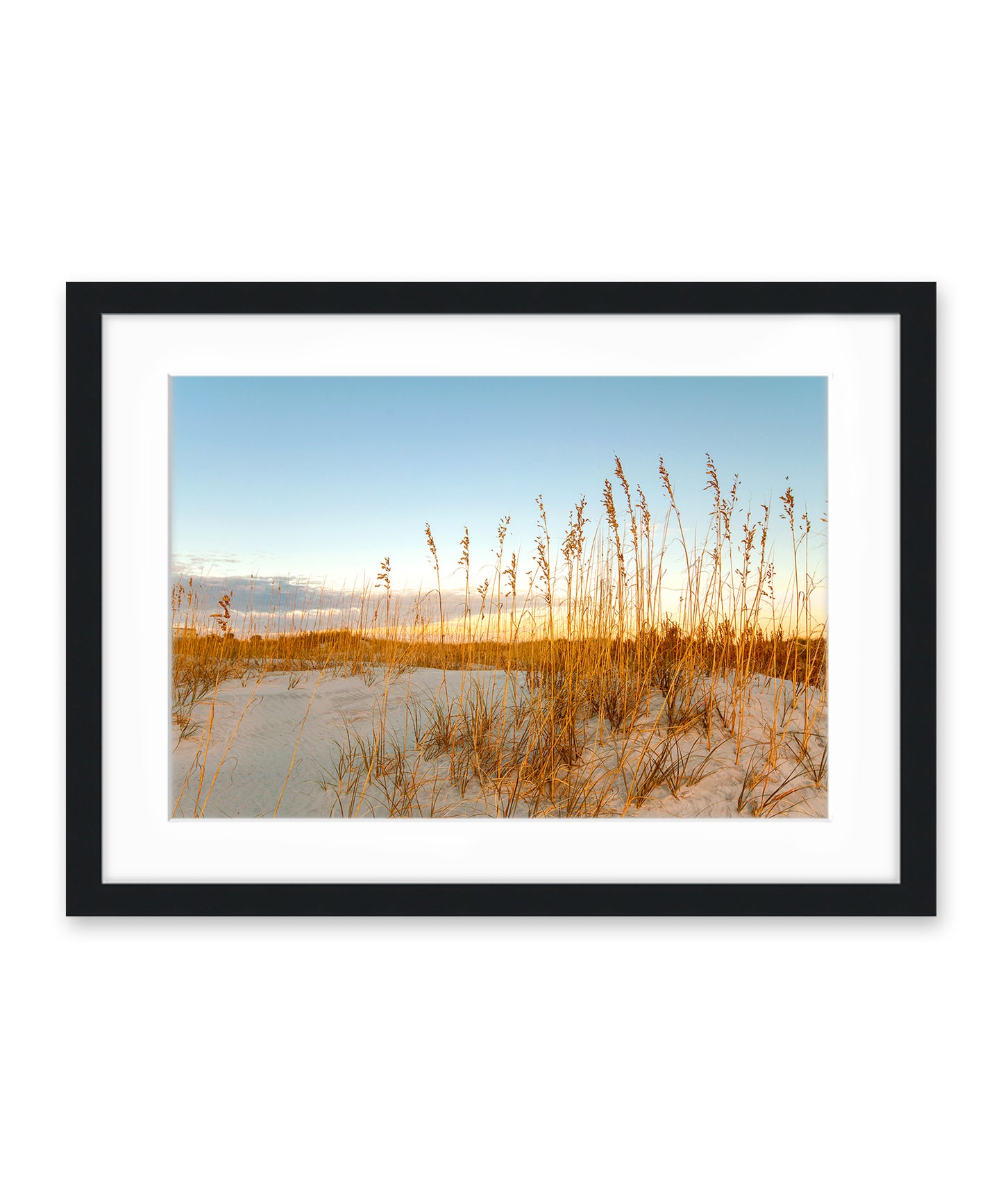 Wrightsville Beach Sand Dunes Photograph