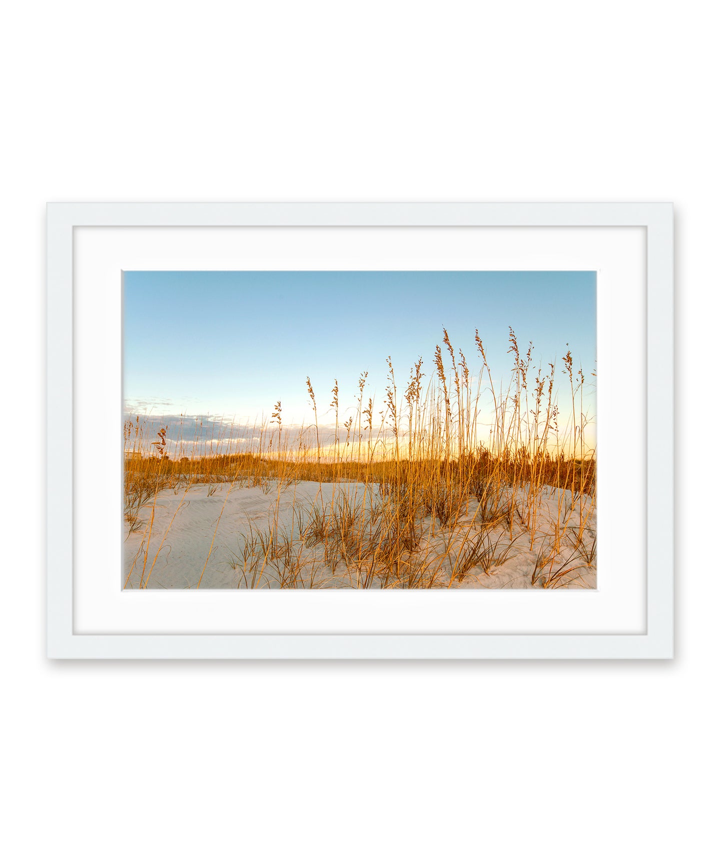 Wrightsville Beach Sand Dunes Photograph