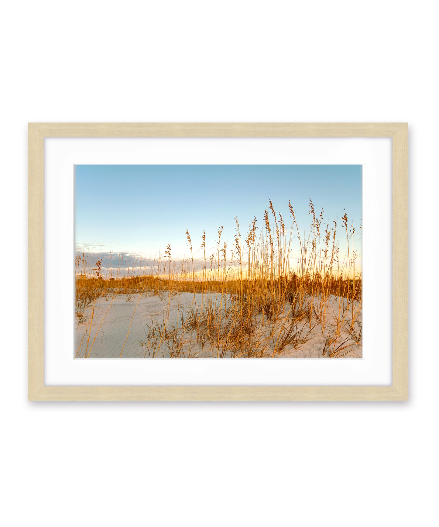 Wrightsville Beach Sand Dunes Photograph