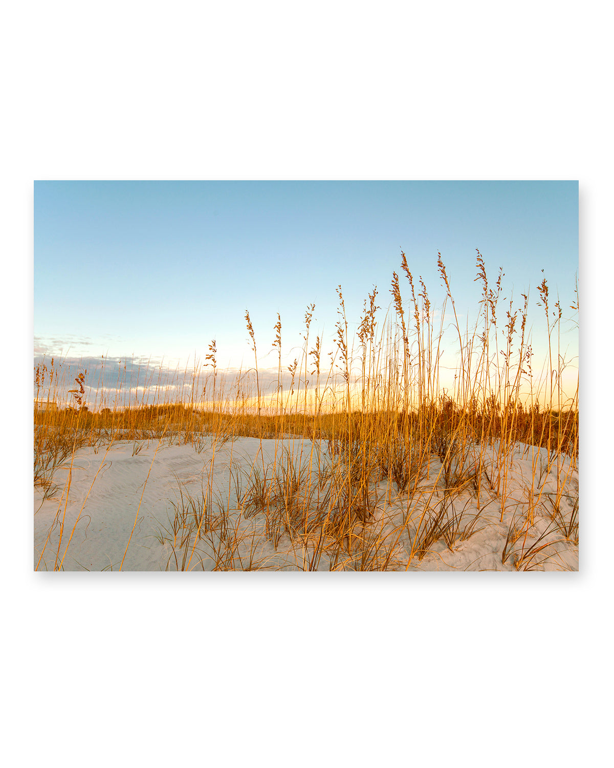 Wrightsville Beach Sand Dunes Photograph