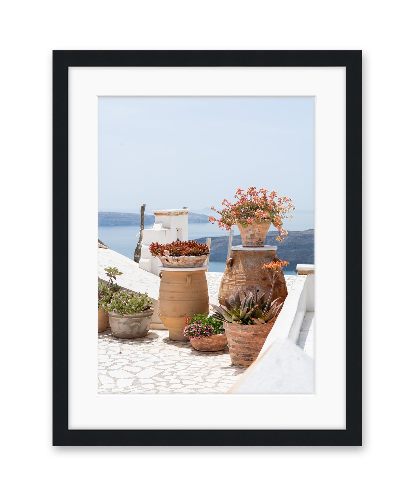 Blue and White Greece Floral Travel Print