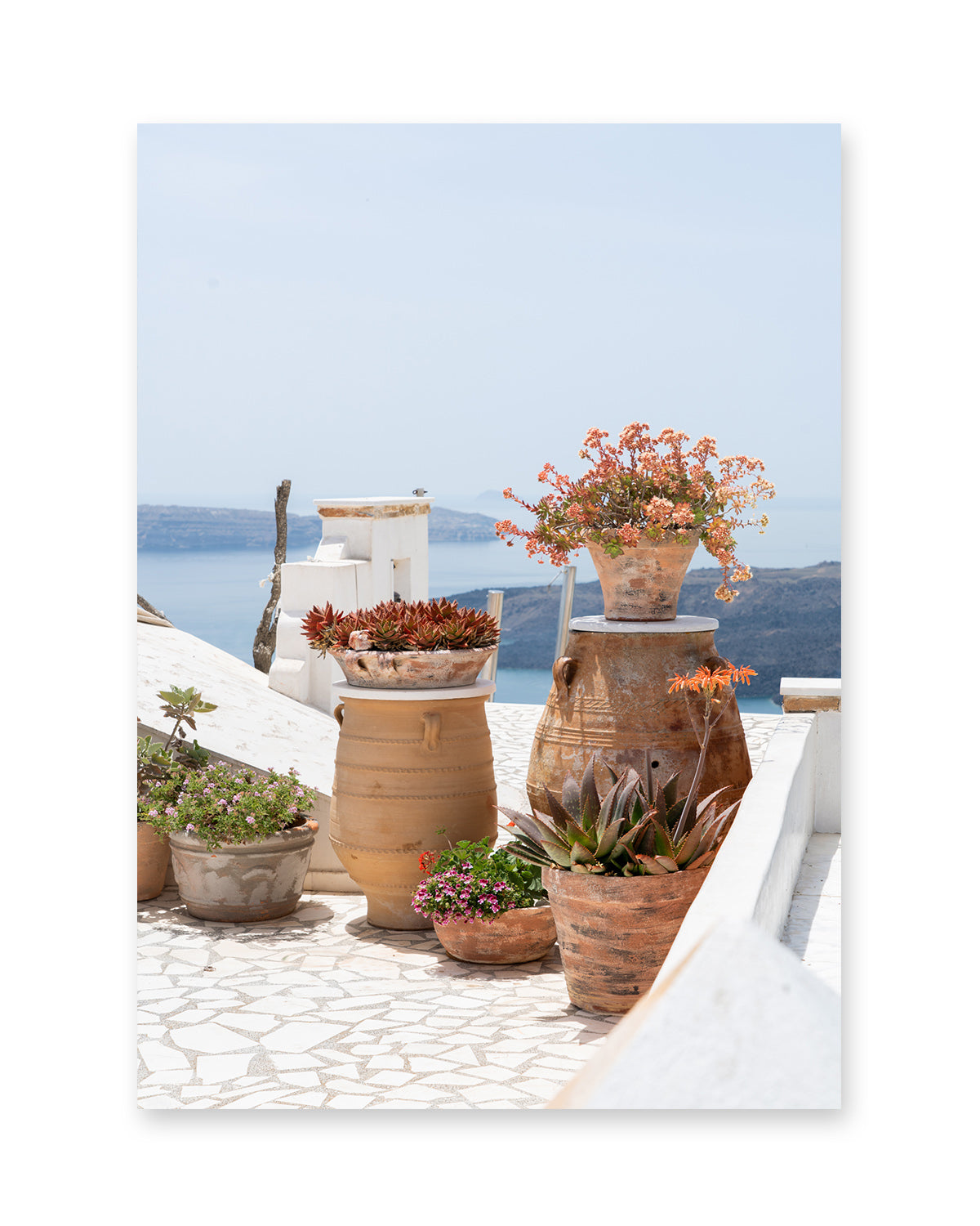 Blue and White Greece Floral Travel Print