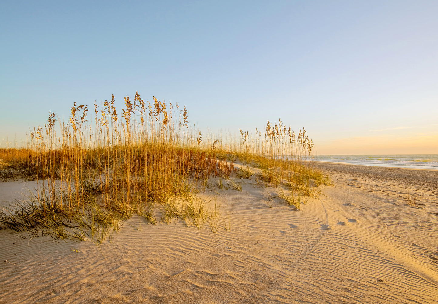North End Wrightsville Beach Sand Dunes Photograph