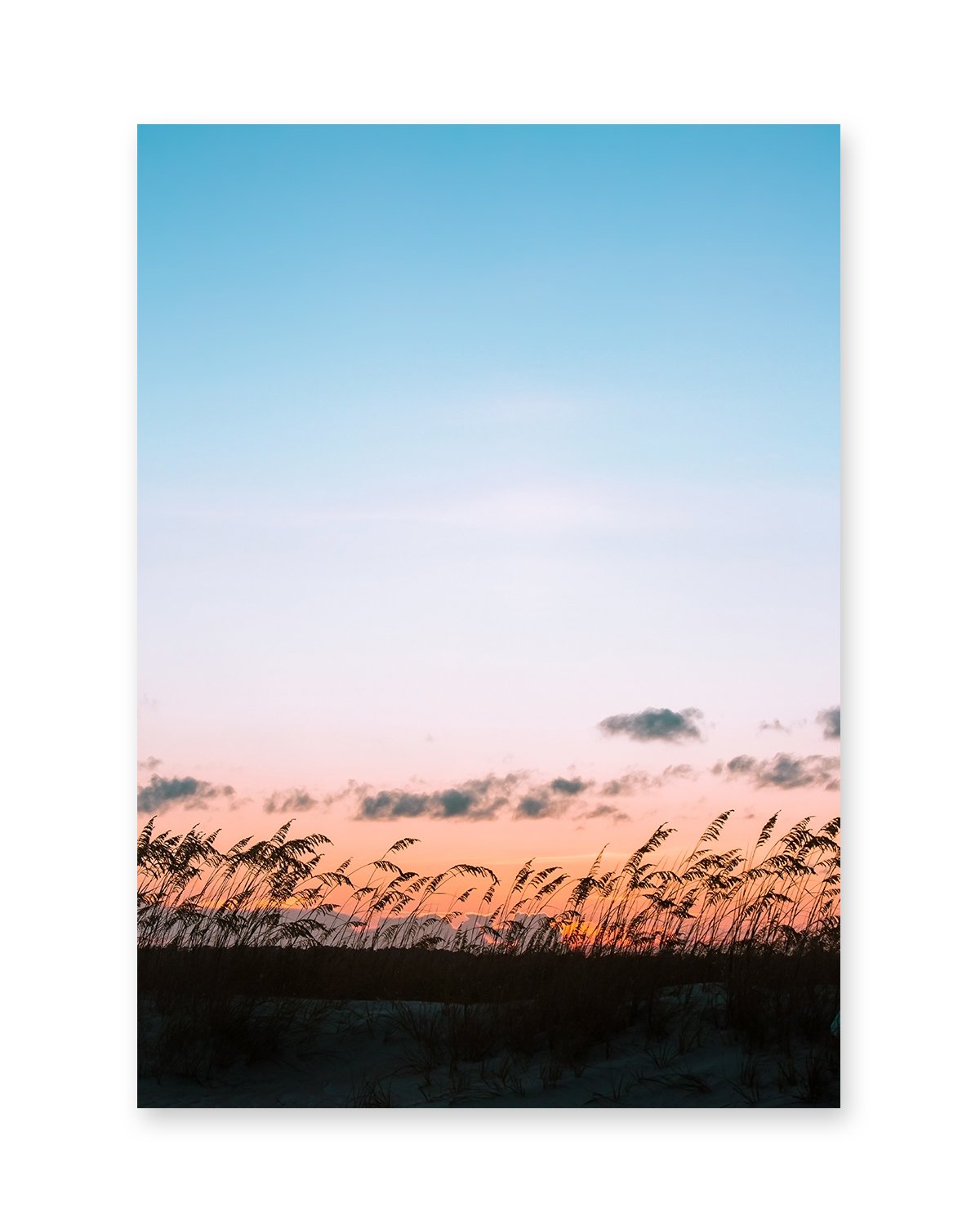 blue sunset sea grass beach photograph, Wright and Roam