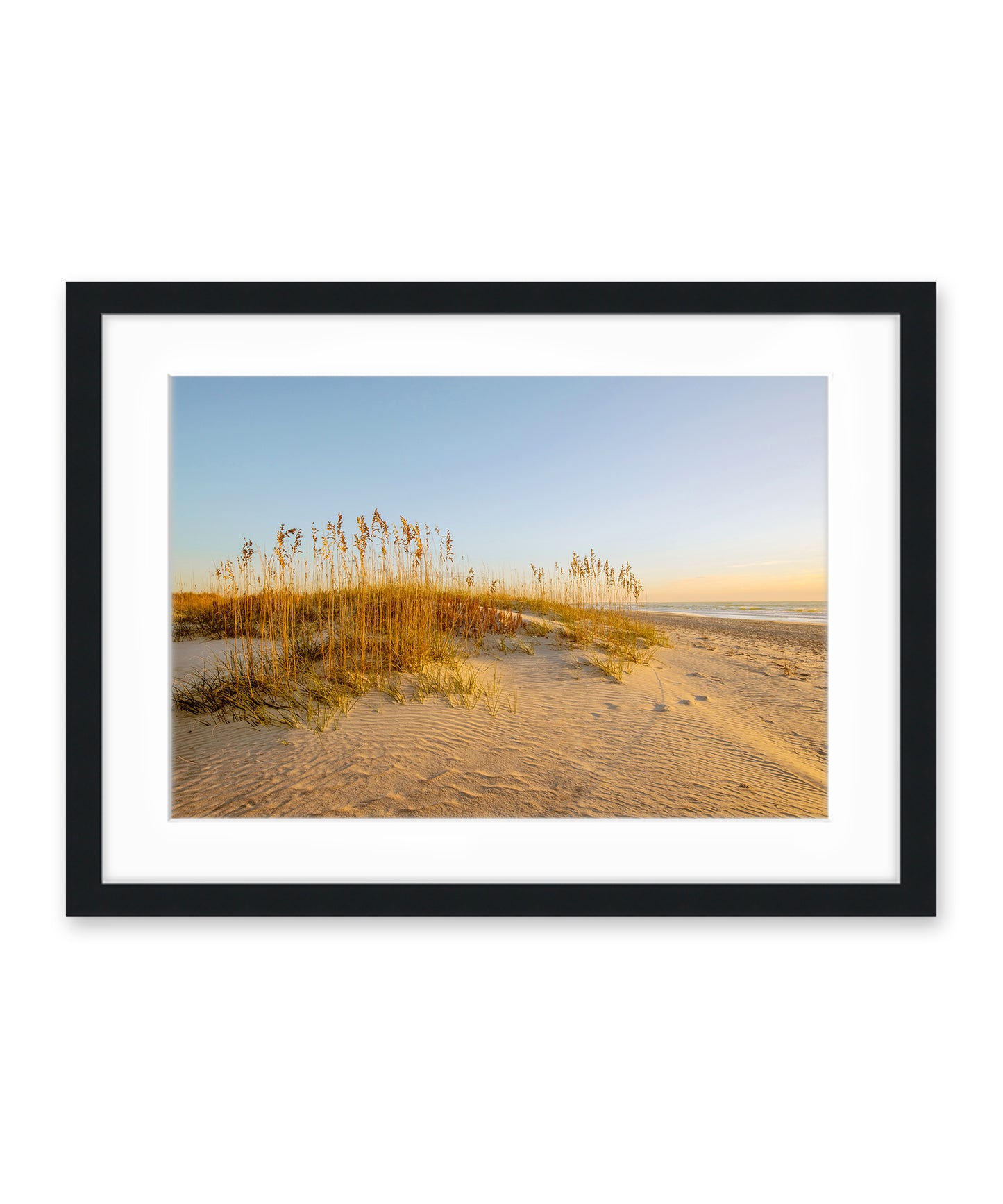 North End Wrightsville Beach Sand Dunes Photograph