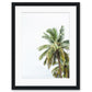 tropical palm tree print with black frame