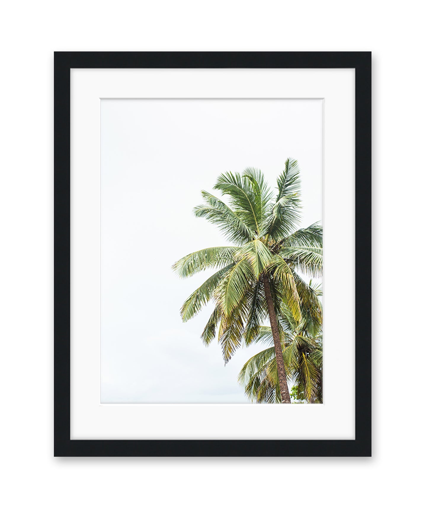 tropical palm tree print with black frame