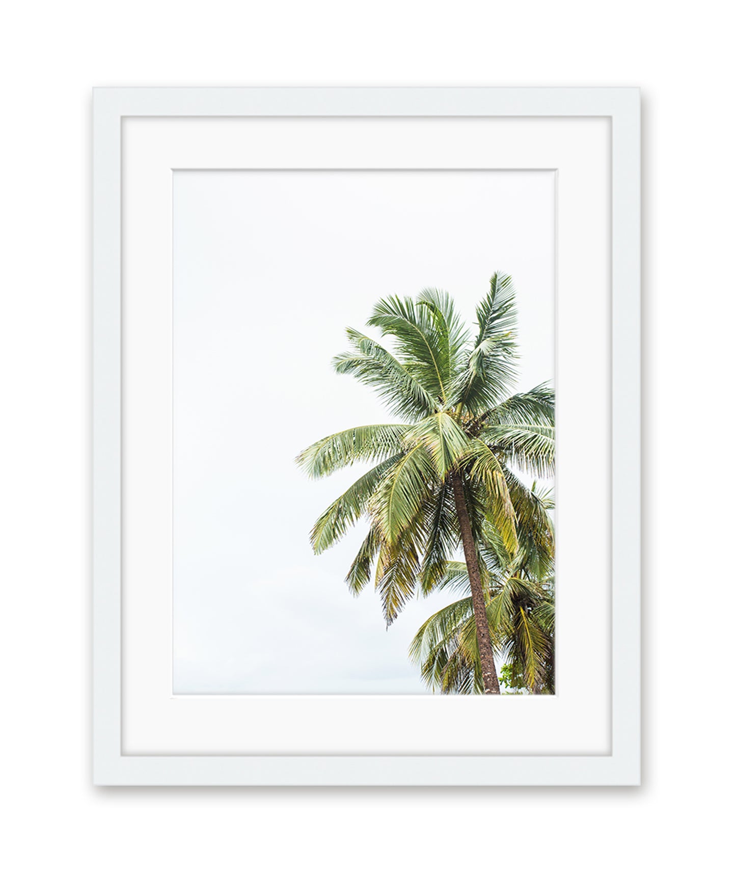 tropical palm tree print with white frame