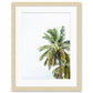 tropical palm tree print with wood frame