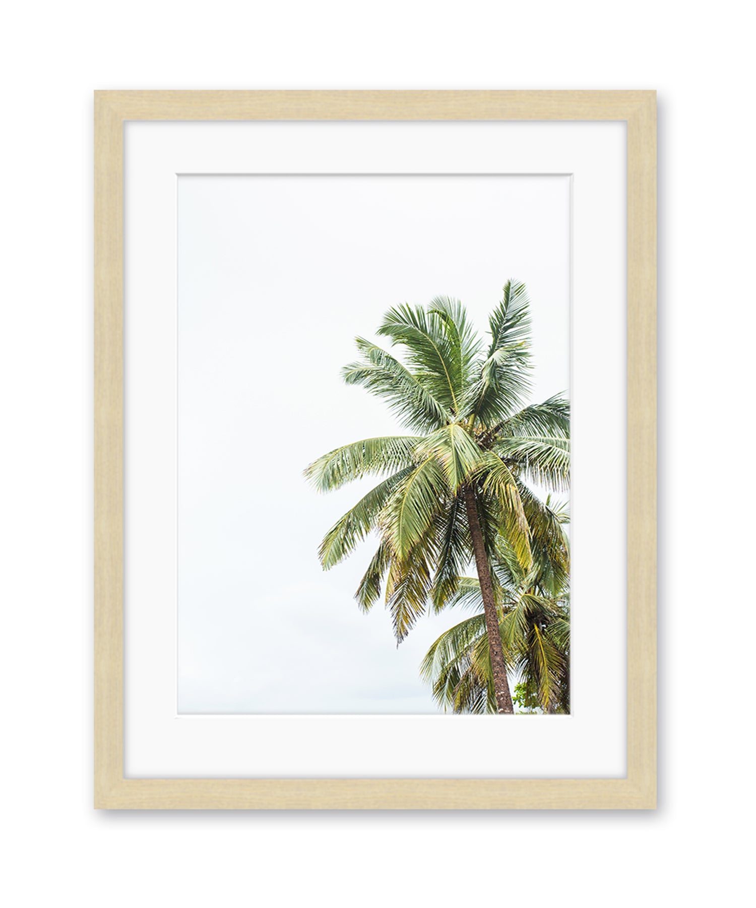tropical palm tree print with wood frame