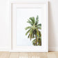 palm tree print , wright and roam