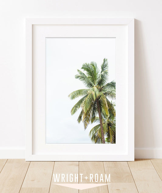 palm tree print , wright and roam