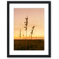 Sunset Seagrass Beach Photograph, Black Wood Frame by Wright and Roam