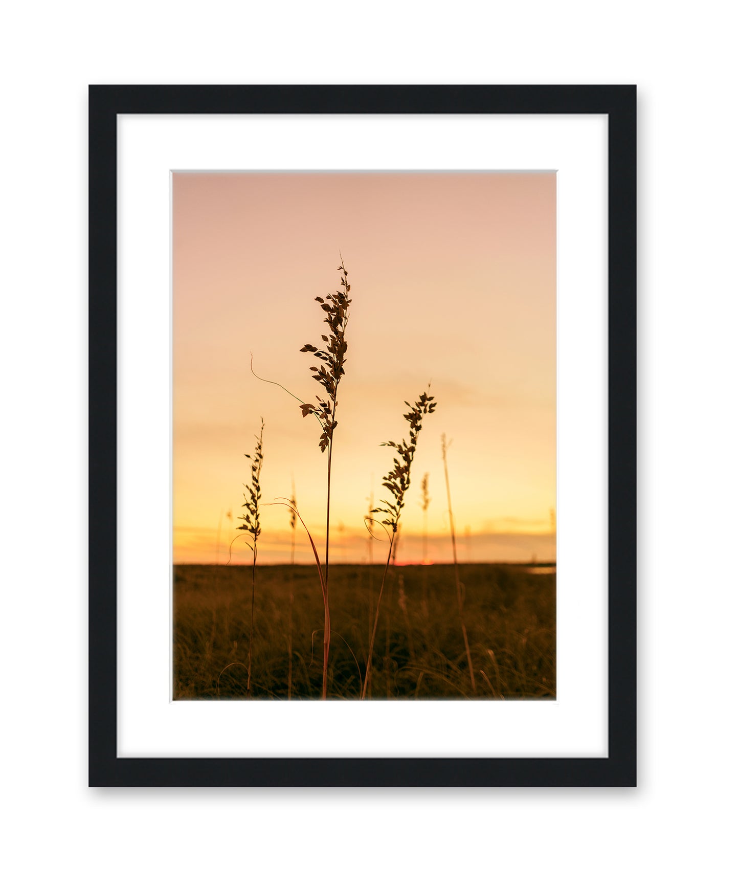 Sunset Seagrass Beach Photograph, Black Wood Frame by Wright and Roam