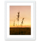 Sunset Seagrass Beach Photograph, White Wood Frame by Wright and Roam