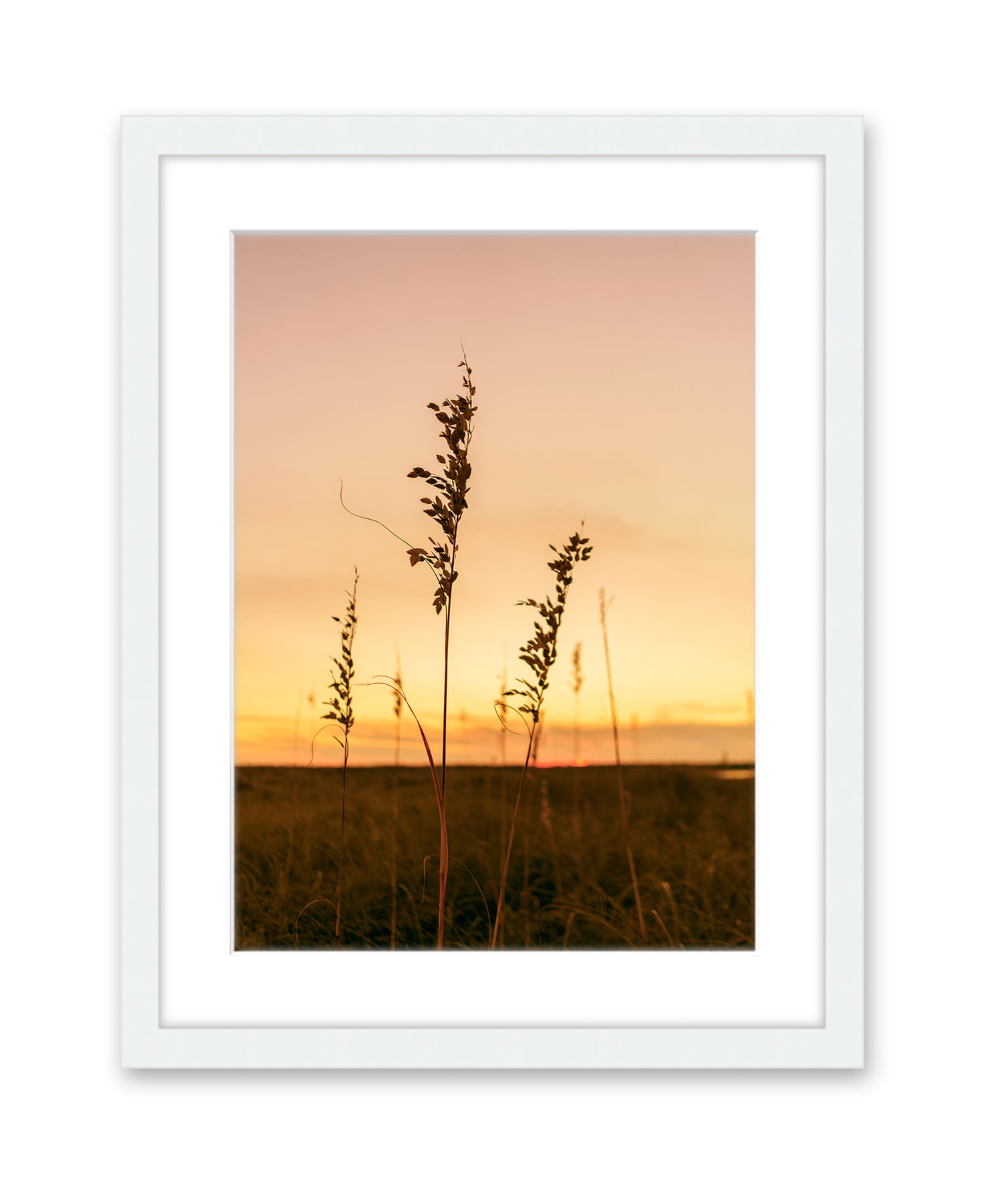 Sunset Seagrass Beach Photograph, White Wood Frame by Wright and Roam