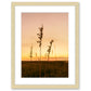 Sunset Seagrass Beach Photograph, Natural Wood Frame by Wright and Roam